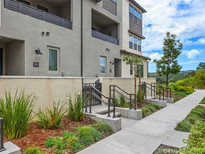 211 Equine Way
