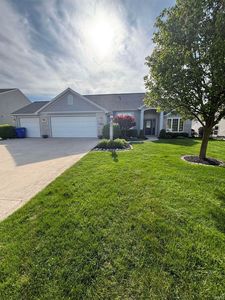 8229 Astoria Hl
