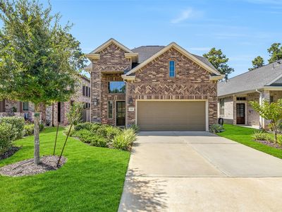 715 Lacebark Elm Trl