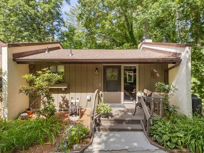 50 Dogwood Knob #11E