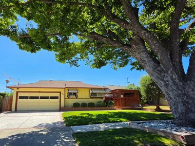 1402 Sprucewood Dr