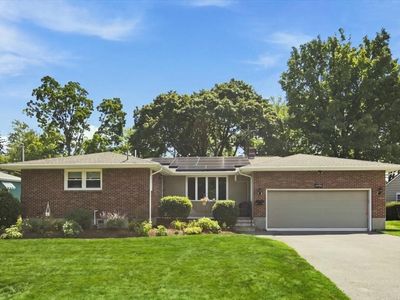 113 Pincushion Rd