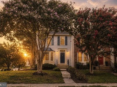 21208 Hedgerow Ter