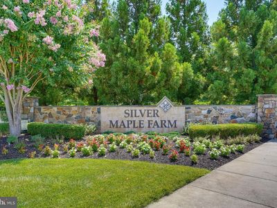 614 Red Maple Rd