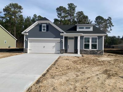 268 Palmetto Sand Loop Lot 25 Bailey-II D