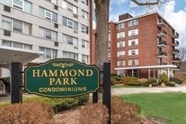 20 Hammond St #102