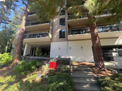 625 El Dorado Ave APT 204