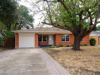 427 Rorary Dr