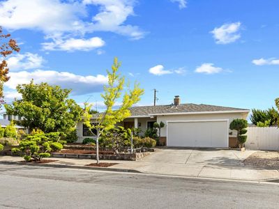 21446 Holly Oak Dr