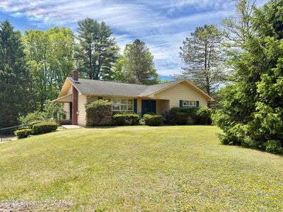 44 Forest Dr