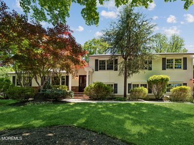 30 Basswood Court