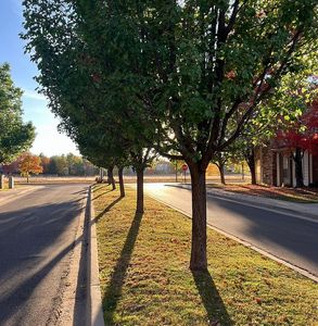 5620 Fossil Creek Pkwy UNIT 5203