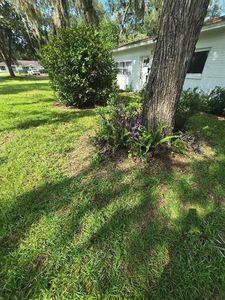 Property at 3501 NW 17 TERRACE, Gainesville, FL