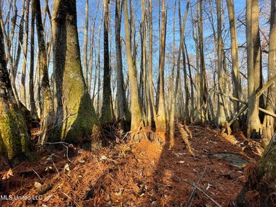 Property at 4676 Quofaloma Rd, Tchula, MS