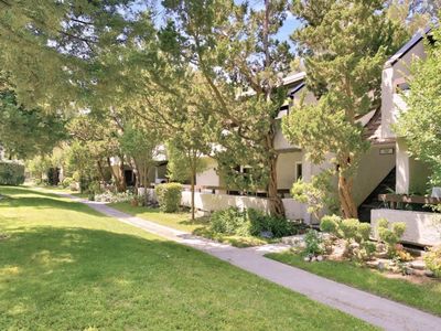 312 Tradewinds Dr APT 10