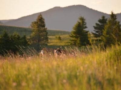 Property at Logging Creek Rd, Monarch, MT