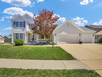 406 Tickseed Ave