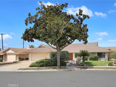 143 Islandia Dr