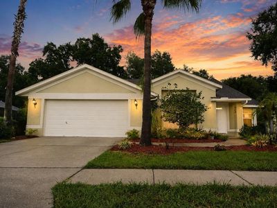 Property at 24449 Painter Dr, Land O Lakes, FL