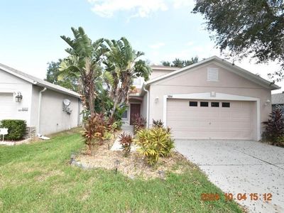 504 Maple Pointe Dr