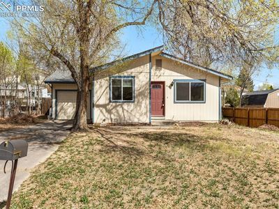 2149 Whitewood Dr