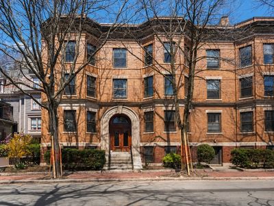 31 Linnaean St Unit 6