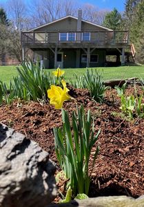 94 Bluebird Ln
