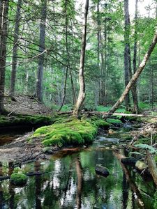 Property at M8 L63 Bristol Road, Bristol, ME