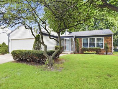 1115 Brandywyn Ln