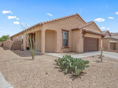 10440 S Painted Mare Dr