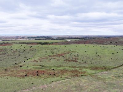 Indianola Grass Dryland And Acreage