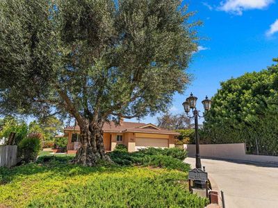 635 Pine Tree Ln