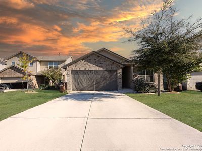 15175 Longtailed Duck