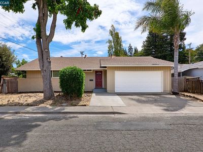 185 Coleridge Dr