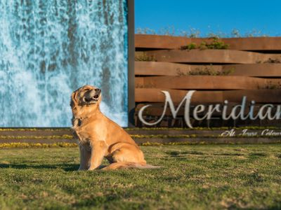 Hillcrest- 50'Lot Plan, Meridiana