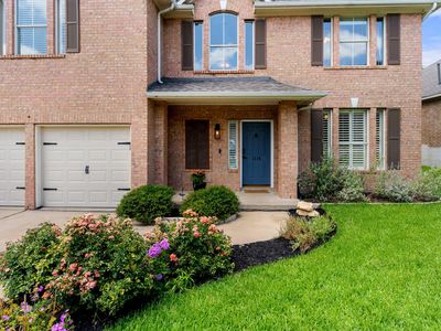 1114 Water Birch