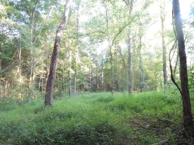 Property at 700 Mount Olive Rd, Byhalia, MS