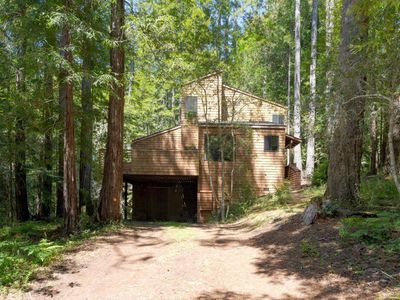 355 Chinquapin Lane