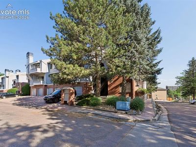 3684 Iguana Dr