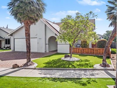 4436 Adragna Ct