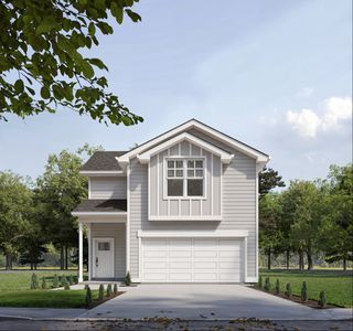 Orchid II Plan, Caraway