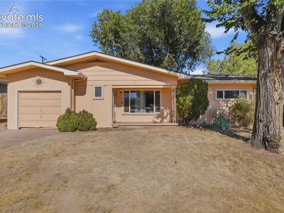 213 Jasper Dr