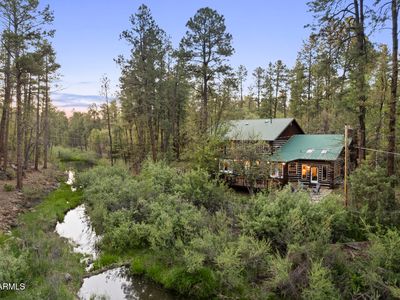 463 W PINE SHADOW Drive