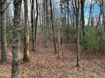 Property at 23 Fish Camp Trail, Glenville, NC