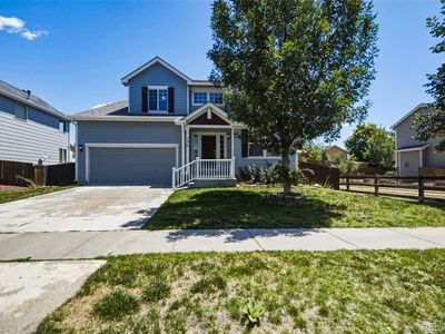 386 Mt Eolus Street
