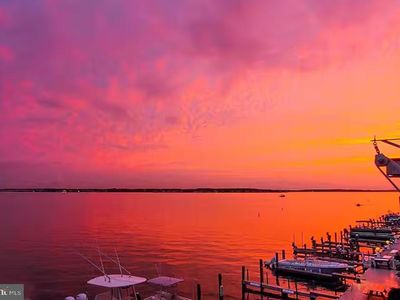 411 Bayshore Dr #301
