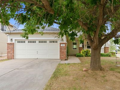 586 Magpie Dr