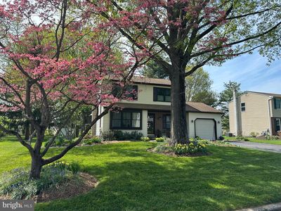 74 Basil Rd