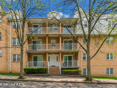 65 Elmwood Park Dr APT 15
