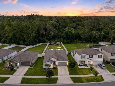 13411 Willow Bluestar Loop